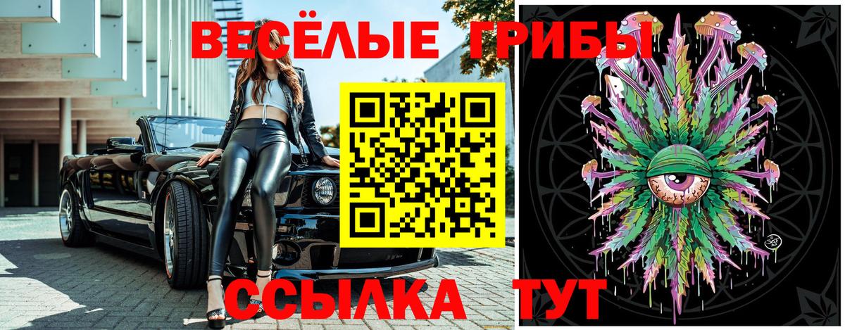 Псилоцибиновые грибы MAGIC MUSHROOMS Дубна