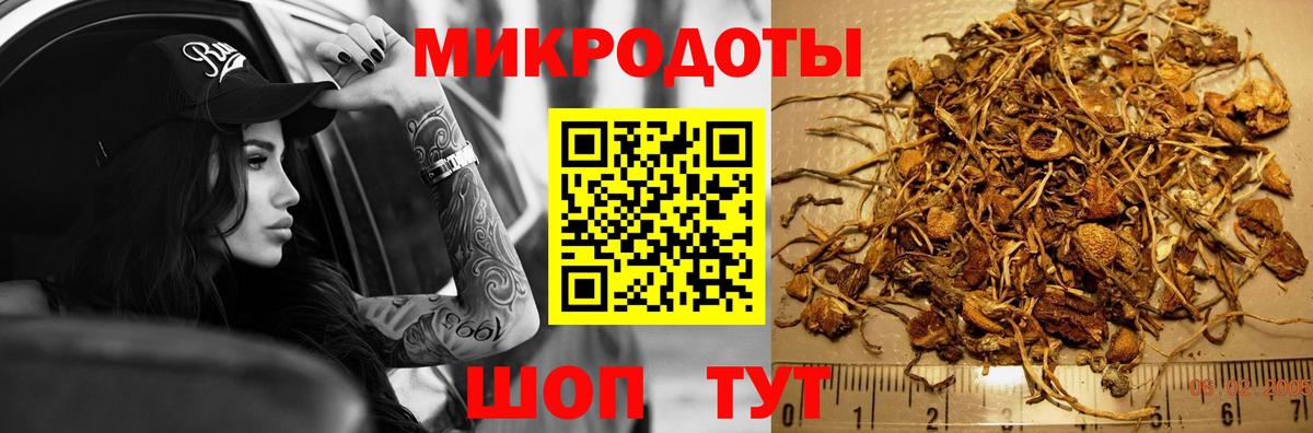 купить наркотики сайты  Псилоцибиновые грибы мицелий  Вход с VPN  Дубна 